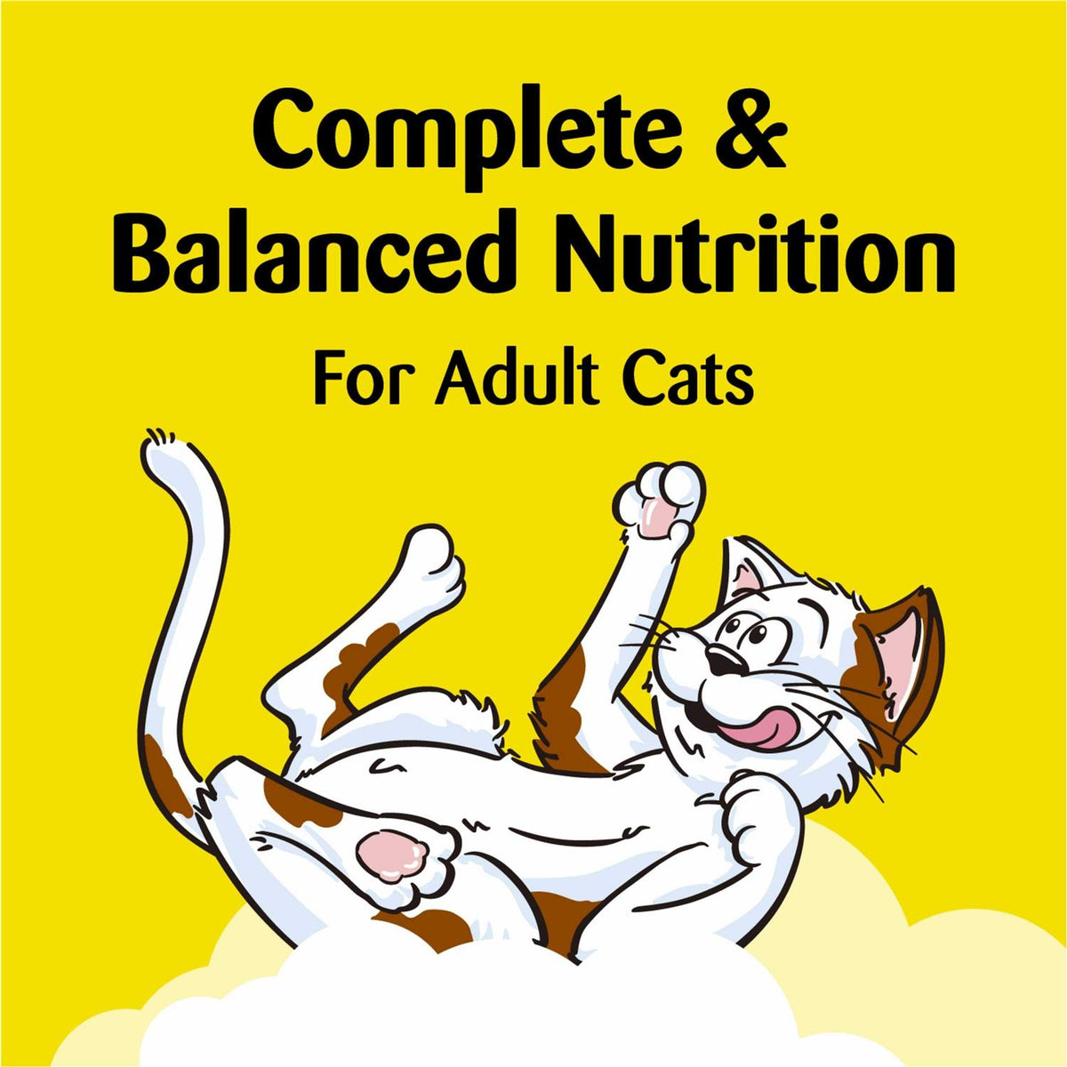 Treat Dispensing Cat Toy R2306