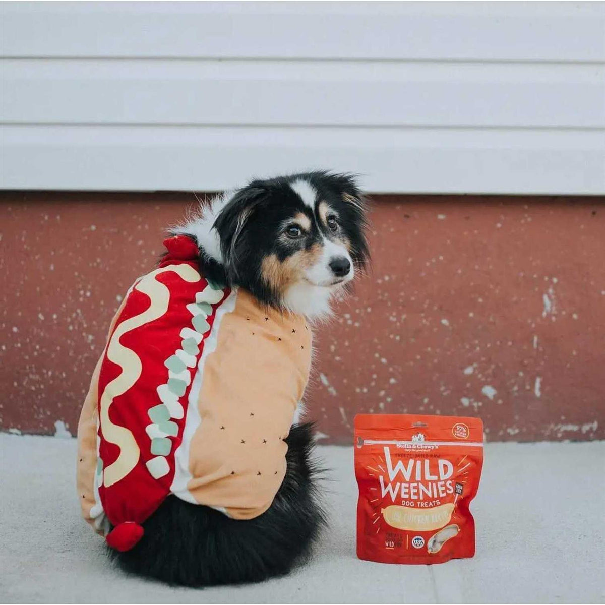 Freeze Dried Dog Treats Z226
