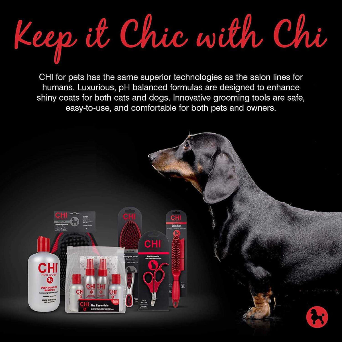 Dog Deep Moisture Shampoo Z780