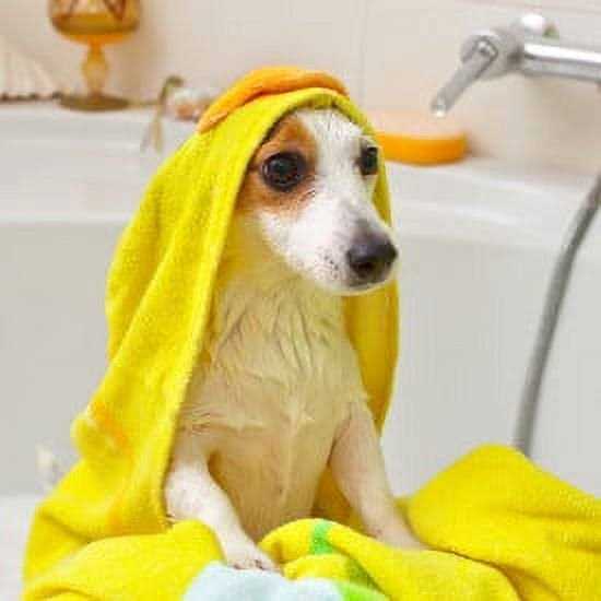 Waterless Dog Bath I427