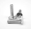 Coarse Thread Carriage Bolt Stainless Steel 18-8 X384