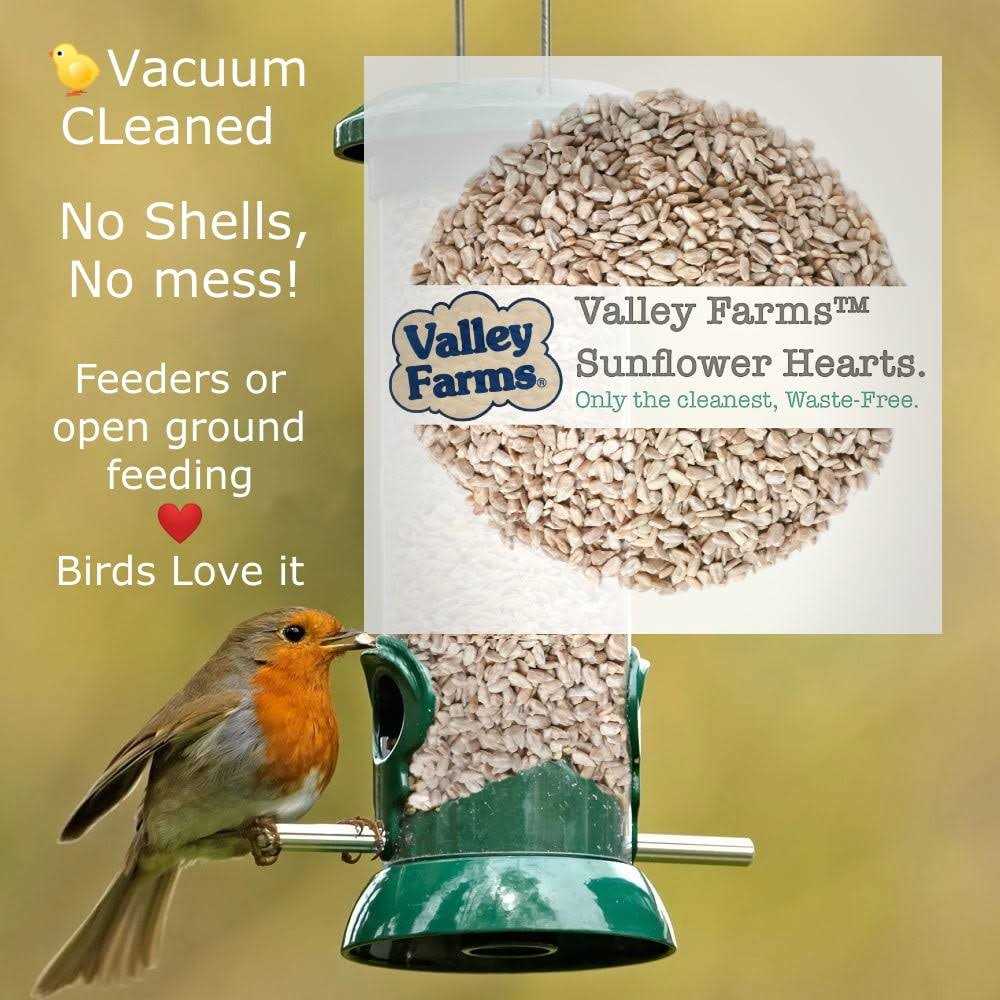 Sunflower Hearts Wild Bird Food L1231