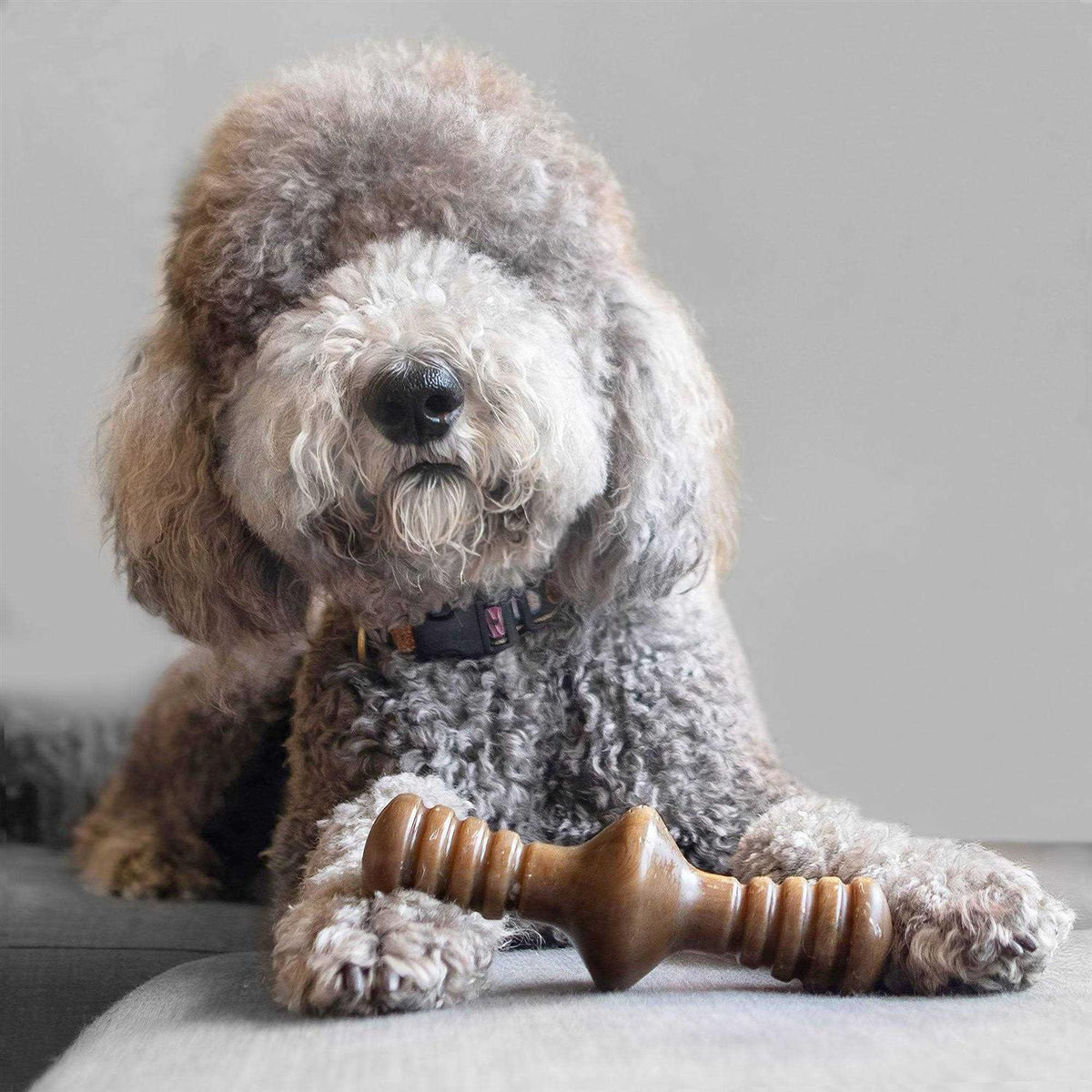 Chicken Dog Chew Toy L2676