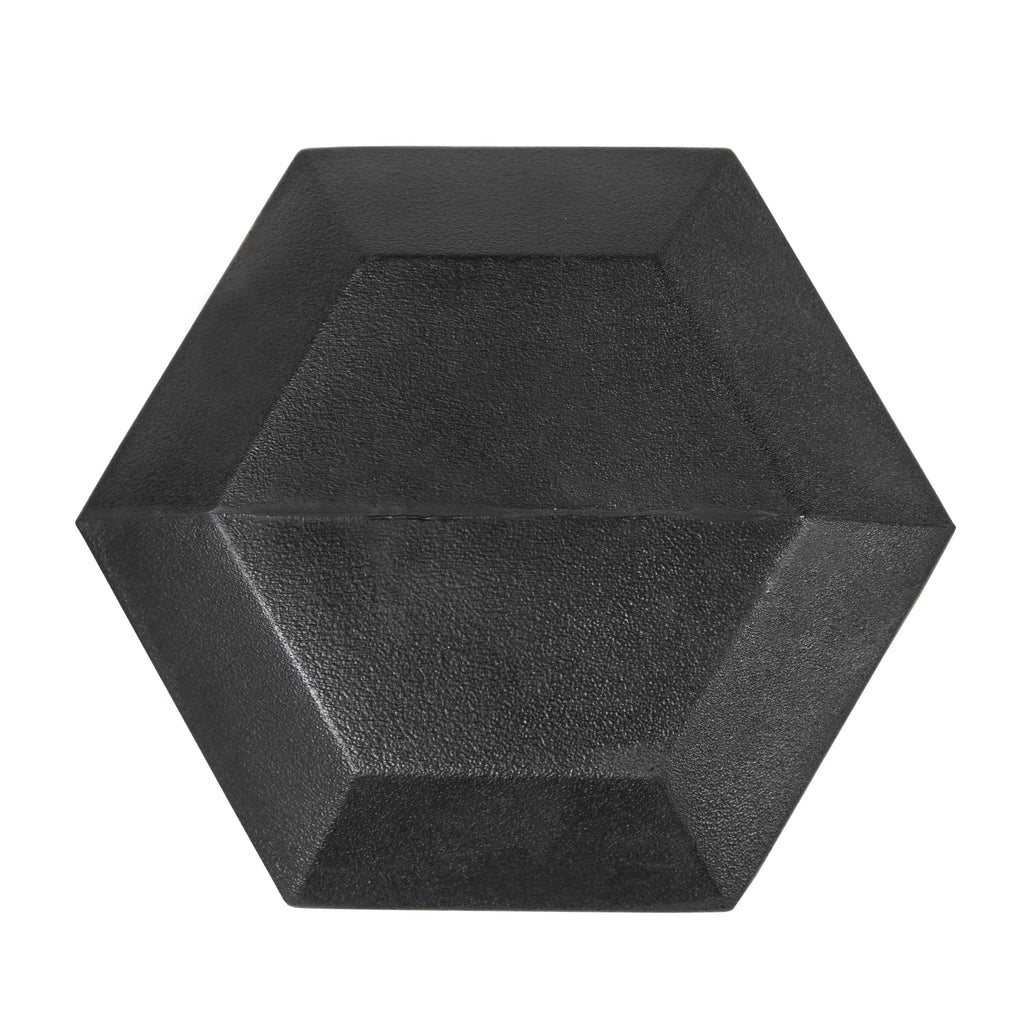 25lb Rubber Hex Dumbbell E1177