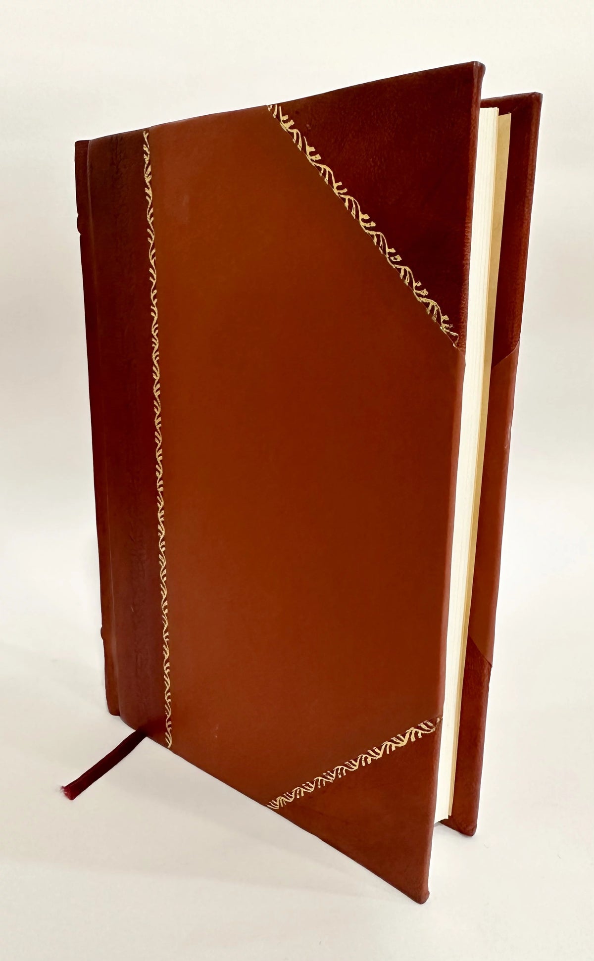 A Laboratory Manual of Physics Leather Bound S561730