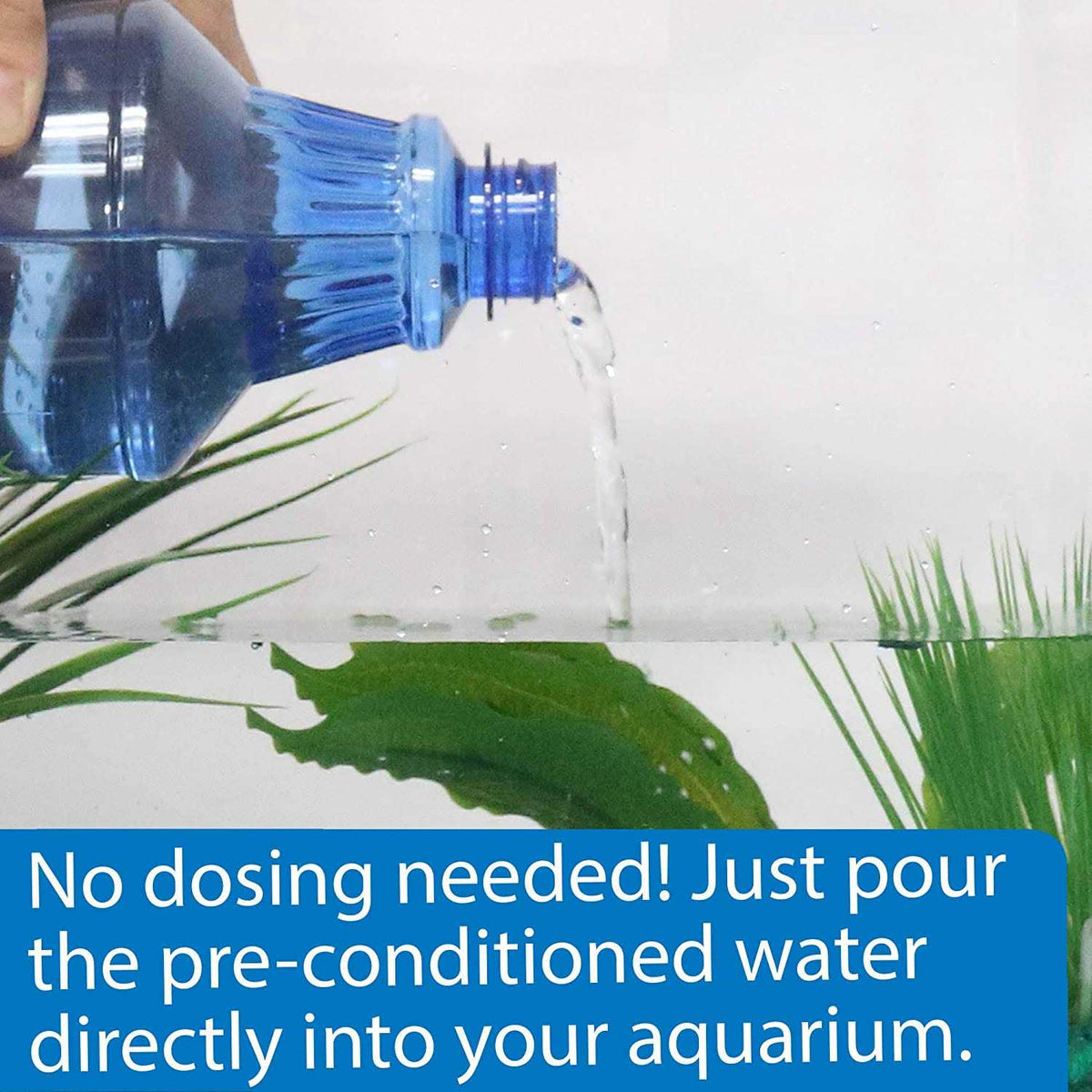 Betta Water Q49245