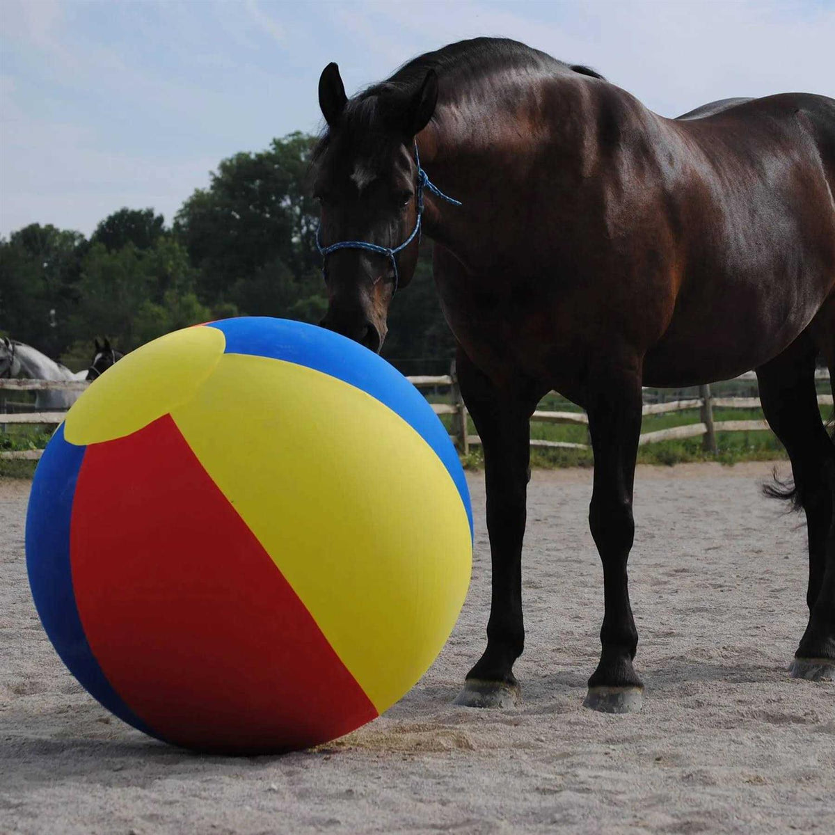 Horsemen’s Pride Mega Ball Cover K807