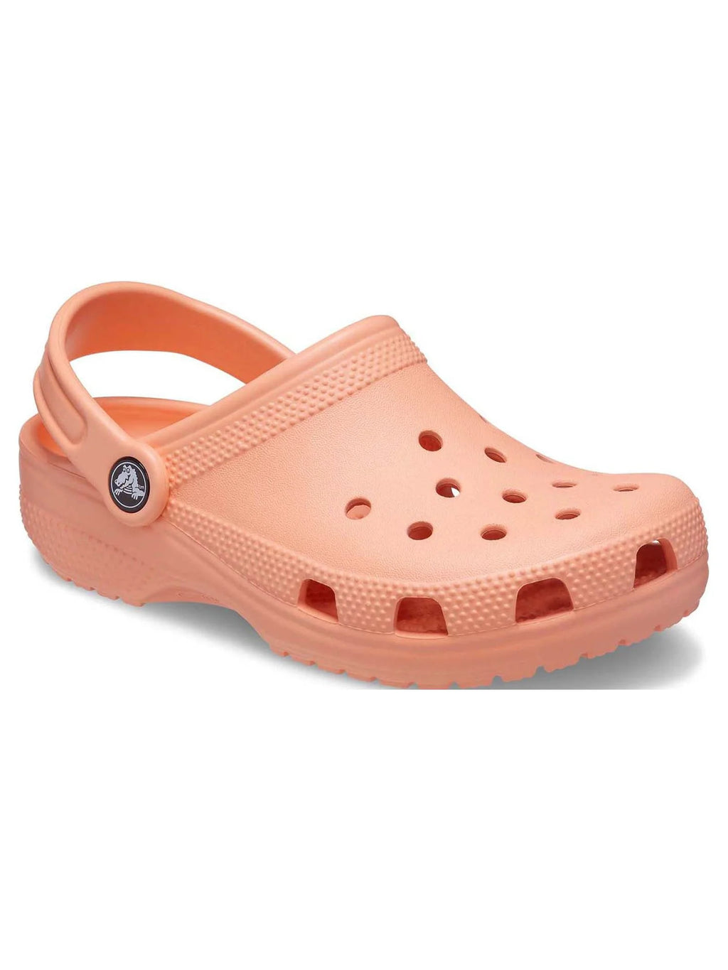Toddler & Kids Classic Clog H805