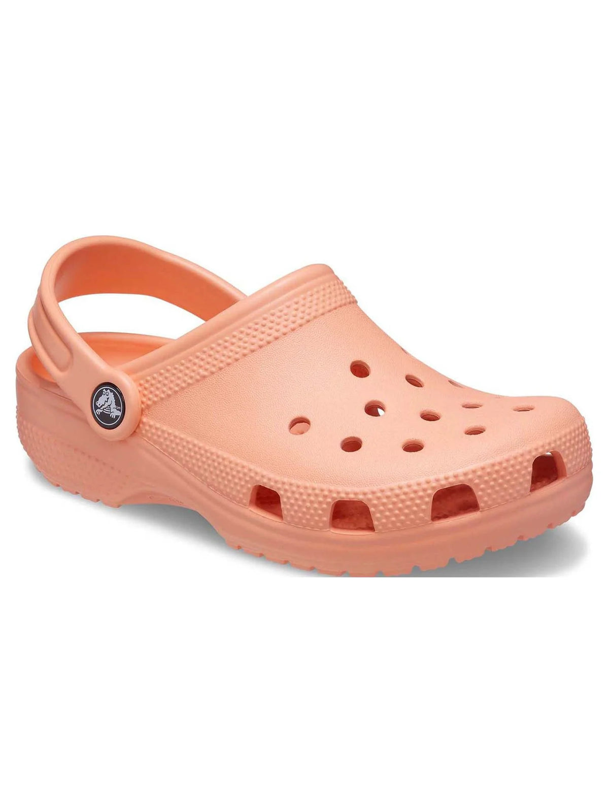 Toddler & Kids Classic Clog H805