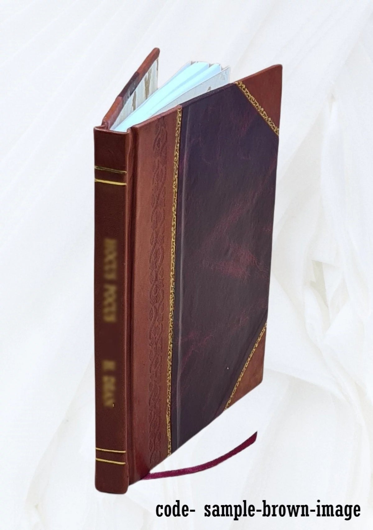 Water Balances Guide Manual Leather Bound W142